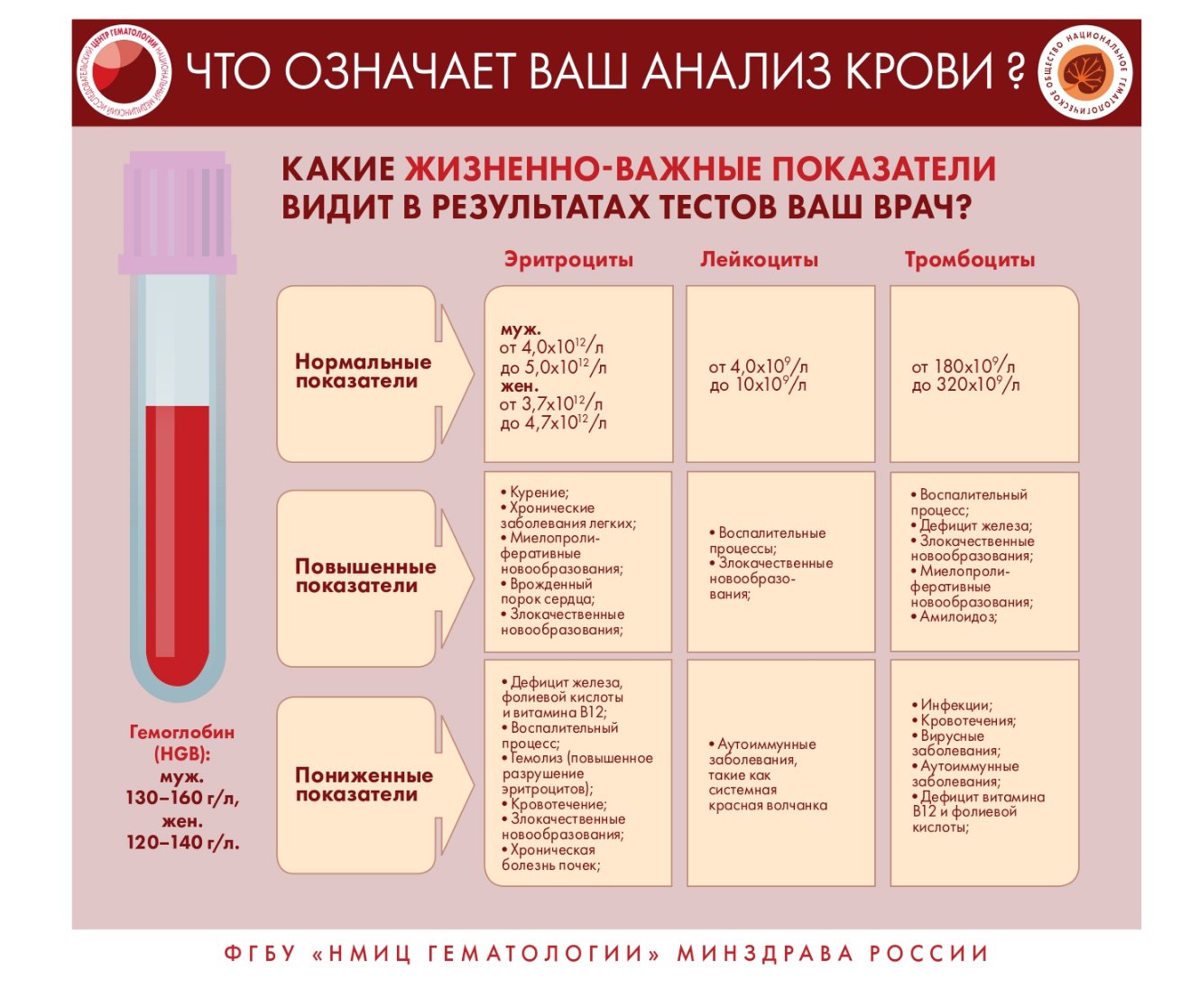 Инфографика для населения и медицинских работников по вопросам заболевания  системы крови - ГБУЗ 