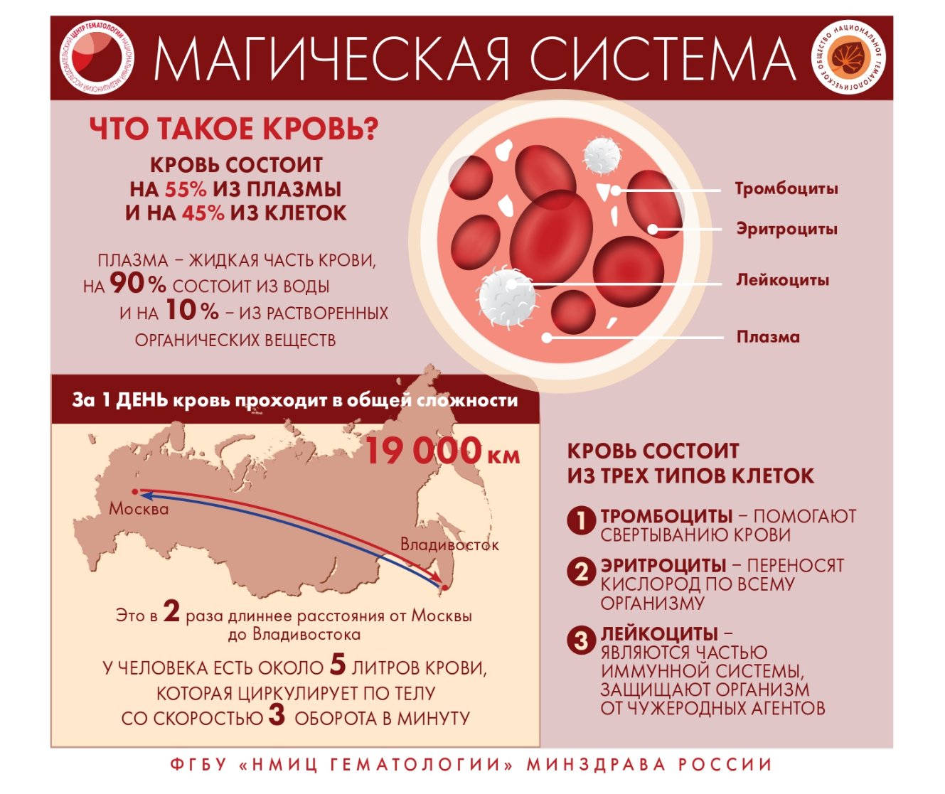 Инфографика для населения и медицинских работников по вопросам заболевания  системы крови - ГБУЗ 